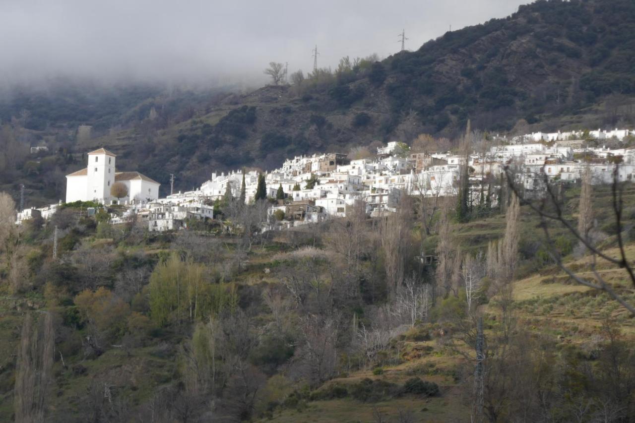 La Higuera Lägenhet Bubión Exteriör bild