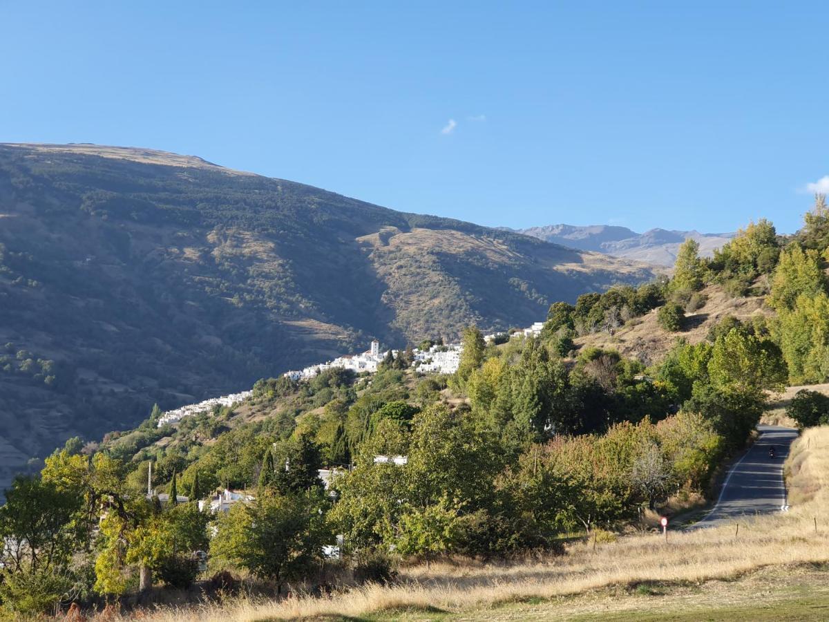 La Higuera Lägenhet Bubión Exteriör bild